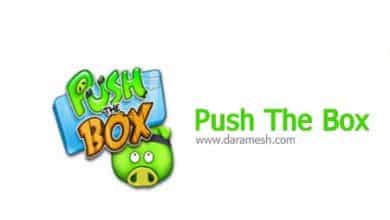 push-the-box_game